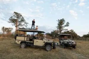Two children on the roof of a safari vehicle on a sunrise game drive in the Eastern Cape 