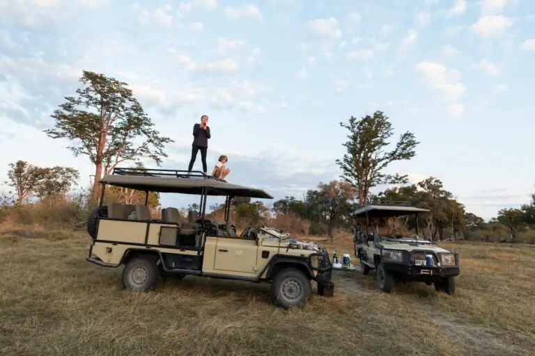 Two children on the roof of a safari vehicle on a sunrise game drive in the Eastern Cape