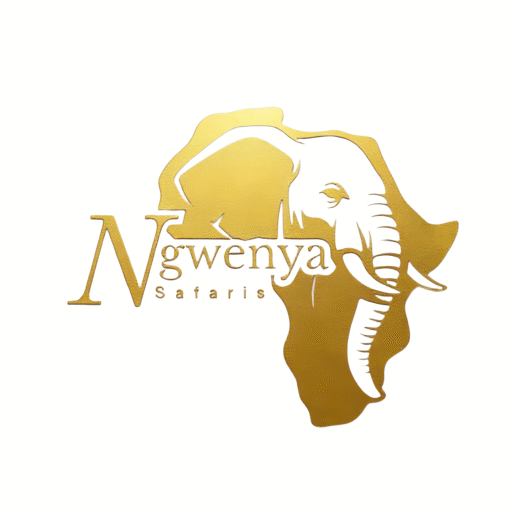 Travel South Africa with Confidence from the Moment You Arrive