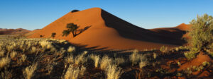 Sand Dune in the Namib-Naukluft National Park near Sossuvlei in the Namib Desert, Namibia.
