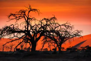 Sunset in the Namib Desert at Sossusvlei in Namibia