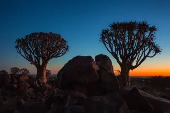 Picturesque view of nice trees and stones on background on amazing evening sky in savanna.